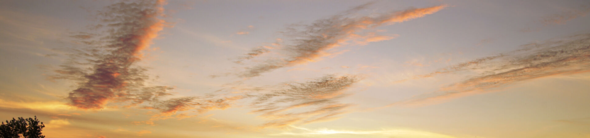 Abendhimmel | zur Startseite